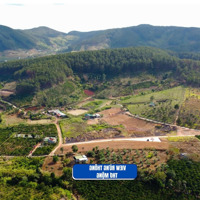 Bán Đất Gần Đà Lạt, Sổ Hồng Riêng, Giá Chỉ 520 Triệu, Cơ Hội Đầu Tư Sinh Lời, Nghỉ Dưỡng Lý Tưởng