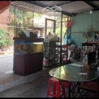 Bán Nhàdiện Tíchlớn Trung Tâm Trường Thọ Ubnd. P. Trường Thọ, Tp. Thủ Đức
