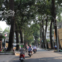 Hàng Cần Bán Gấp Thoát Nợ Xấu Ngân Hàng! Gần Nhà Hát Bến Thành Mạc Đỉnh Chi, 250M2 Vị Trí Kim Cương