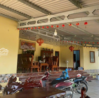 Chính Chủ Cần Bán Lô Đất Vườn Trái Cây Lâu Năm Tại Thôn Lâm Phú, Xã Lâm Sơn, Ninh Sơn, Ninh Thuận