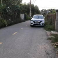 Bán Vườn Bưởi Khu Cù Lao Bạch Đằng Tân Uyên Rất Đẹp