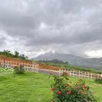 Lô Đất Vườn Nghỉ Dưỡng View Đẹp , Liên Hệ 0915454330
