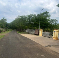 Bán Gấp Đất Sào Và Thổ Cư 5X46 =230M2 Có 100Tc Mặt Tiền Nhựa 19M Gần Ủy Ban Tân Hưng, Vị Trí Đẹp