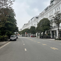 Bán Căn Sh -Lk 100M Giá 24.X Tỷ View Công Viên Vườn Hoa, Mua Ở Hoặc Làm Vp Siêu Đẹp Liên Hệ: 0961730068