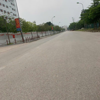 Cc Bán Lk Kđt Cienco 5 Mê Linh, 95M2 Đường 21,5M, Đường Thông Cổng Phụ Đh Tài Chính Nh, Giá Cực Tốt