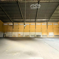 Cho Thuê Kho - Bãi Trống Tại Hóc Môn