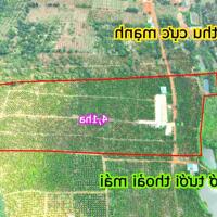 Thu 21t cà phê nhân tại tỉnh Đắk Nông, giá cực rẻ, cực bằng, điện nước đầy đủ