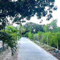 Phía đầm Cam Đức mặt tiền Lê Thị Hồng Gấm ngang 12m quy hoạch đường chính 14m chỉ 250tr/mn