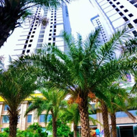 Bán Cc Tecco Elite City, 1,3 Tỷ, 61,5M2, 2 Phòng Ngủ+ 2 Vệ Sinh Thịnh Đán, Thái Nguyên