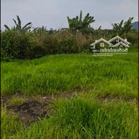 Đất Trong Khu Dân Cư Đông Đúc, Diện Tích 2216M2