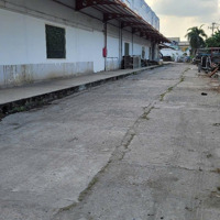 Cho Thuê Xưởng Kho Bãi, 6.000M2 Tại Bình Chánh (Đường Nguyễn Hữu Trí)