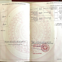 Thu 21T Cà Phê Nhân Tại Tỉnh Đắk Nông, Giá Cực Rẻ, Cực Bằng, Điện Nước Đầy Đủ