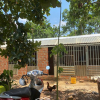 Bán 2500M2 Tại Nhánh Dh507, Tân Hiệp, Phú Giáo, Bình Dương, Giá Siêu Hời 550 Triệu