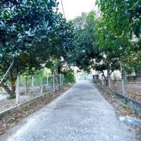 Phía Đầm Cam Đức Mặt Tiền Lê Thị Hồng Gấm Ngang 12M Quy Hoạch Đường Chính 14M Chỉ 250 Triệu/M Ngang