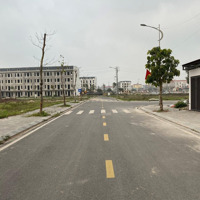 Bán Gấp Suất Ngoại Giao Kđt Tứ Trưng, Vĩnh Tường 98M,150M Sẵn Sổ. Cam Kết Giá Rẻ Hơn Thị Trường.