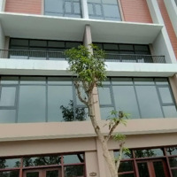 Bán Gấp Biệt Thự Tại The Crown - Vinhomes Ocean Park 3, Giá Bán 36 Tỷ, 153M2