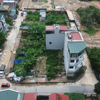 Đấu Giá Việt Hùng Đông Anh - Siêu Phẩm Lô Góc - Kinh Doanh Đỉnh