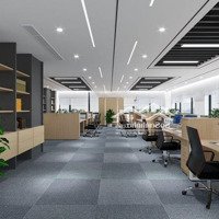 Cho Thuê Siêu Toà Nhà Mặt Tiền Toạ Lạc Tại Đường Hai Bà Trưng Quận 1 Tphcm