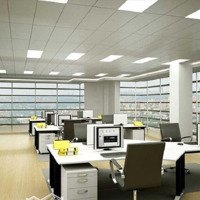 Cho Thuê Siêu Toà Nhà Mặt Tiền Toạ Lạc Tại Đường Hai Bà Trưng Quận 1 Tphcm