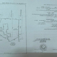 Đất Nền Biệt Thư Tại Hoàng Hoa Thám, Phường 10, Đà Lạt, Lâm Đồng 480M², Giá Bán 25 Triệu / M².