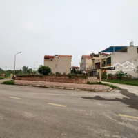 Bán 80M Đấu Giá Thôn Hội Phụ - Đông Hội Vị Tri Đắc Địa. Gần Sát Vin Cổ Loa