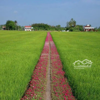 Bán Đất Long Cang, Cần Đước, Long An, 650 Triệu, 193 M2, Đẹp, Nhiều Tiện Ích