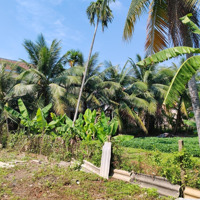Cần Bán Lô Đất Đẹp Hội An, Kiệt Thông Đường Cửa Đại Rừng Dừa Bảy Mẫu, Giá Rẻ Bất Ngờ Chỉ 16 Triệu/M2