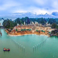 Bán Căn Studio Chung Cư Xanh Island Cát Bà - Giá Chỉ Tùy 650 Triệu Đồng