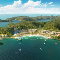 Bán Căn Studio Chung Cư Xanh Island Cát Bà - Giá Chỉ Tùy 650 Triệu Đồng
