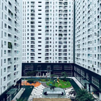 Giỏ Hàng Tara Cập Nhật Giá Mới Nhất