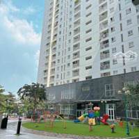 Giỏ Hàng Tara Cập Nhật Giá Mới Nhất