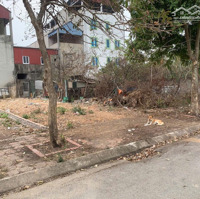 Bán Đất Quang Tiến Sóc Sơn, Đất Đẹp Xuất Sắc Với Diện Tích 110M2, Mặt Tiền 5M Giá Chỉ 47 Triệu/M2