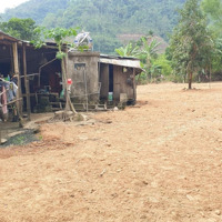 Bán Đất Nhà Vườn Ô Tô Tận Nơi Có Suối Sau Nhà Diện Tích: 1.769 M2