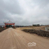 Hàng Cực Hiếm - Hoa Hậu Lan Mẫu, Lục Nam