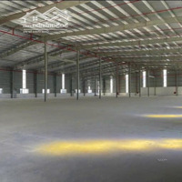 Cho Thuê Kho Xưởng Trong Kcn Đình Vũ, Hải An, Hải Phòng.