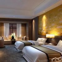 Cần Tiền Bán Gấp Tòa Nhà 1 Hầm 7 Tầng-2 Mặt Tiền Khu Sân Bay Tân Bình-Full Dòng Tiền Ổn Định