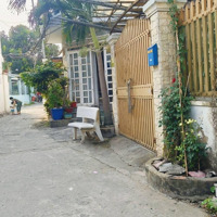 Trường Thọ - Thủ Đức - Nhà 65M2 (Ngang 5,2X Dài 12,5) - 3 Pn - 2 Vệ Sinh- Sổ Riêng - Hoàn Công Đầy Đủ