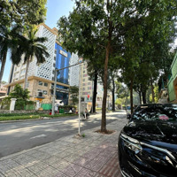 Siêu Phẩm Hotel Bán Mặt Tiền Lý Tự Trọng, Quận 1. Dt: 8X20M Kc 1 Hầm 10 Tầng. 500 Triệu/Th. 150 Tỷ