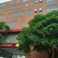 Đất Vàng Kiến Hưng, Hà Đông, Sát Trường Tiểu Học Marie Curie 2, 42M2, Ô Tô Tránh, Ở, Kinh Doanh.