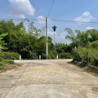 Bán Nhanh Lô Đất Diên Hòa, Ngay Cạnh Đường Tl8, Cách Ngã Tư Chợ Diên Phước Chỉ 200M