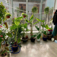 Chủ Cần Bán Nhà Kiệt Trần Văn Dư, Ngủ Hành Sơn Tpđn