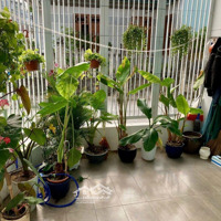 Chủ Cần Bán Nhà Kiệt Trần Văn Dư, Ngủ Hành Sơn Tpđn