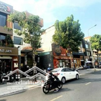Khan Hiếmdiện Tích8X16M,Mặt Tiềnthương Hiệu Phan Xích Long, Tập Trung Nhiều Thương Hiệu F&B Cao Cấp