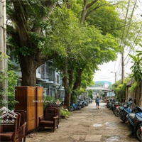 Bán Nhà Phạm Thế Hiển, Quận 8, 116.5M², Diện Tích Khủng, Giá Bán 8 Tỷ