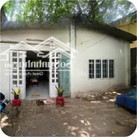 Bán Nhà Phạm Thế Hiển, Quận 8, 116.5M², Diện Tích Khủng, Giá Bán 8 Tỷ