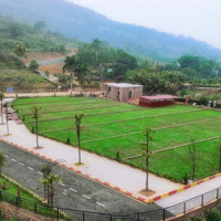 Suất Ngoại Giao Duy Nhất Hàng F0 Đồng Vỡ Phú Mãn S = 250M , Giá Từ 11 Triệu/M