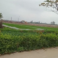 Chính Chủ Bán Đất Đấu Giá Ở Kim Động, Hưng Yên