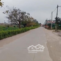 Chính Chủ Bán Đất Đấu Giá Ở Kim Động, Hưng Yên