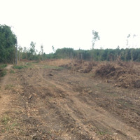 Chỉ Với 235 Triệu Sở Hữu Ngay Lô Đất 5X20M Đất Phước Bình, Long Thành, Đồng Nai