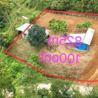 Chủ E Bán 825M Đất Nghỉ Dưỡng View Cao Thoáng Giá Rẻ Chỉ Hơn 2Tỉ